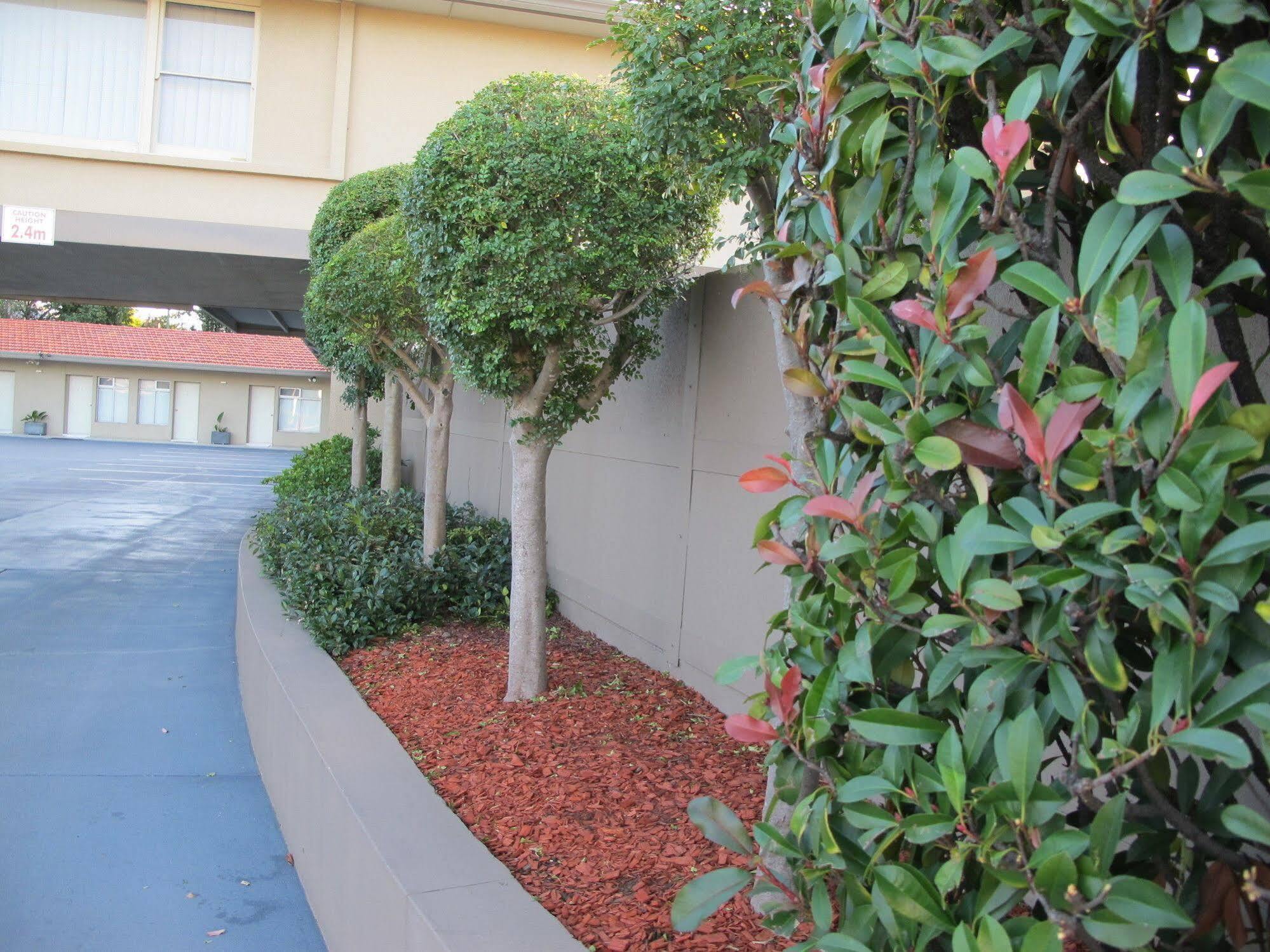 Cessnock Motel Exterior photo